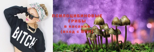 тгк Семикаракорск