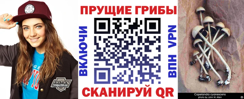Галлюциногенные грибы прущие грибы  что такое наркотик  Лахденпохья 