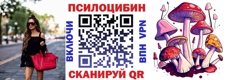 Галлюциногенные грибы Psilocybe Лахденпохья